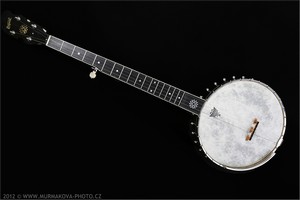 Brdsk�� banjo