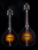 mandola